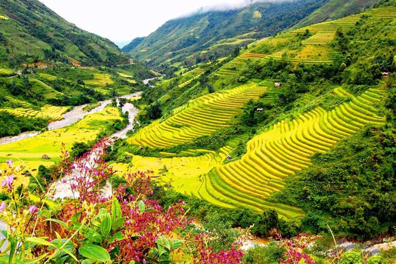 NGÀY 1: HÀ NỘI – SAPA – HÀM RỒNG (Ăn trưa, tối)